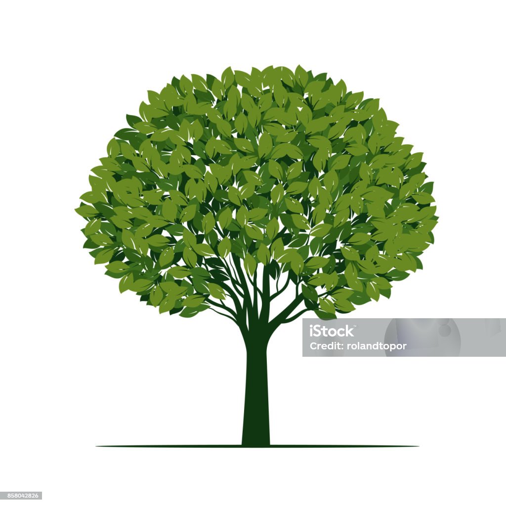 Cây Xanh Tuyệt Đẹp Minh Họa Vector Hình minh họa Sẵn có - Tải ...