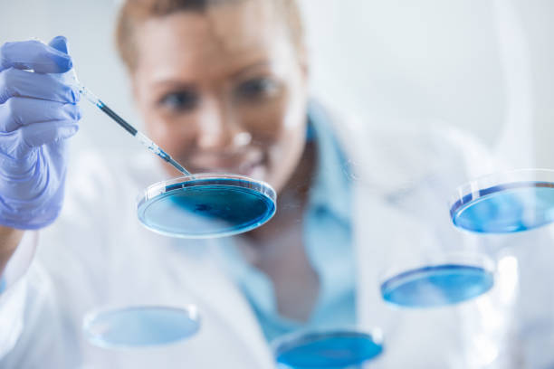 istock View from below of blue solution being added to petri dish in lab 858045820