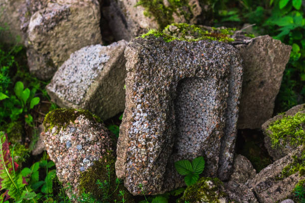 istock overgrown old dry stone wall with moss and lichen 858050044