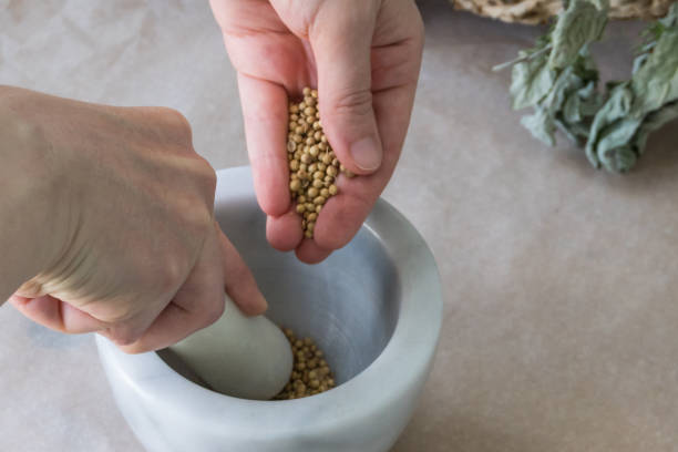 女性の手はコリアンダー粒の乳棒と乳鉢で挽きます。 - mortar and pestle spice seasoning coriander seed ストックフォトと画像