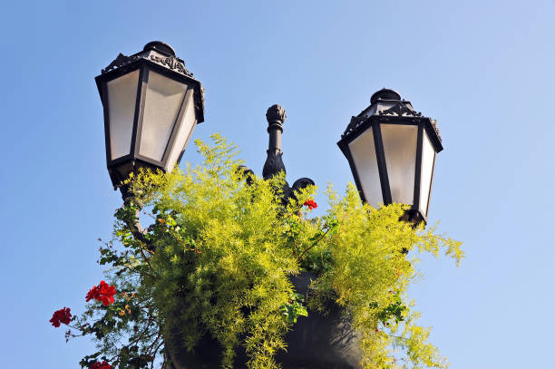 istock Street light with flowerbed 858056454