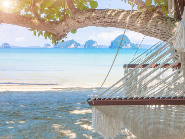 istock Empty hammock on the tropical beach with trees and beautiful sea view background. 858064230
