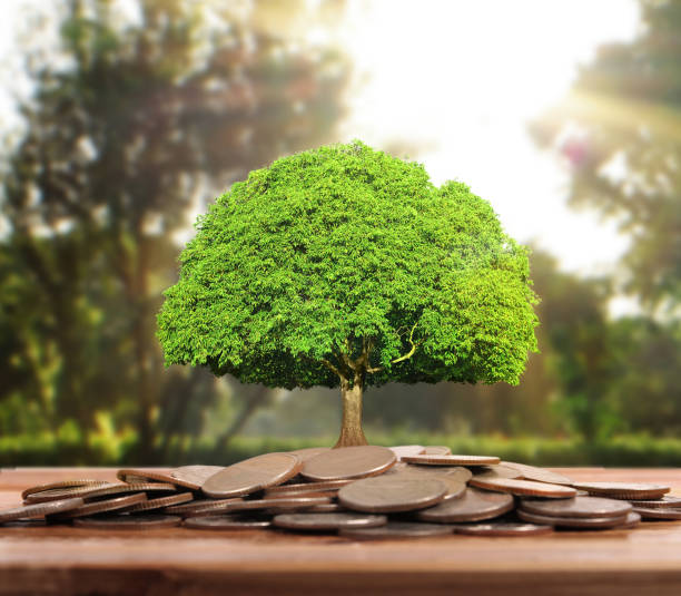 istock graph money coins stock finance 858067424