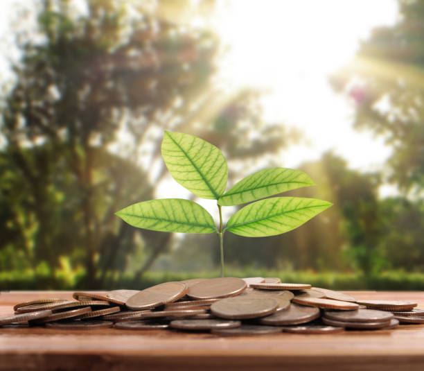 istock graph money coins stock finance 858067438