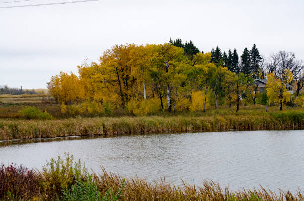 Lake and Colorful Trees