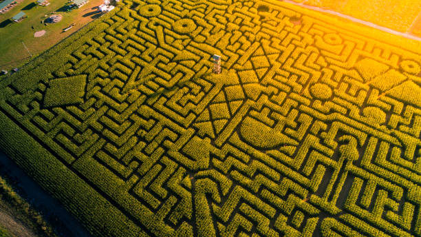 The huge Halloween's Corn Maze in Pennsylvania, Poconos Region The aerial view to the huge Halloween's Corn Maze in Pennsylvania, Poconos Region, at sunset crop maze aerial stock pictures, royalty-free photos & images