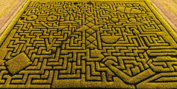 istock The huge Halloween's Corn Maze in Pennsylvania, Poconos Region 858091172