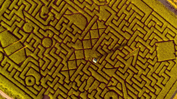 istock The huge Halloween's Corn Maze in Pennsylvania, Poconos Region 858091176