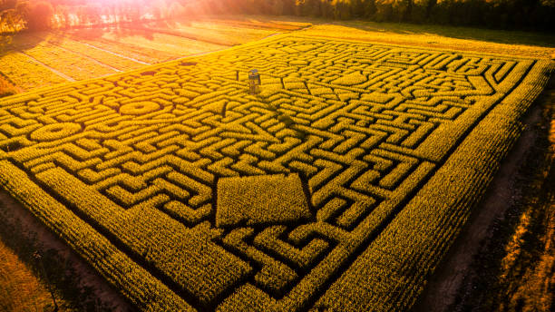 istock The huge Halloween's Corn Maze in Pennsylvania, Poconos Region 858091182