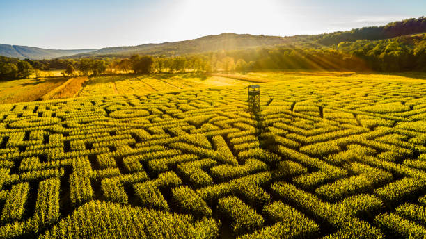 istock The huge Halloween's Corn Maze in Pennsylvania, Poconos Region 858091194