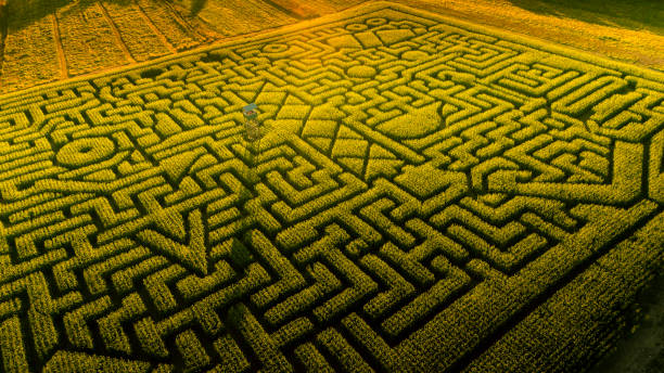 istock The huge Halloween's Corn Maze in Pennsylvania, Poconos Region 858091212