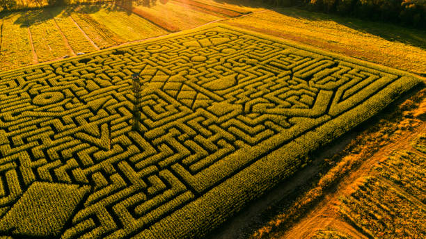 istock The huge Halloween's Corn Maze in Pennsylvania, Poconos Region 858091220