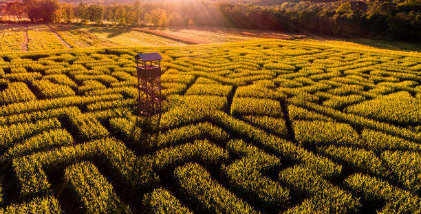istock The huge Halloween's Corn Maze in Pennsylvania, Poconos Region 858091246