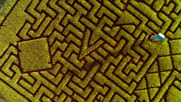 istock The huge Halloween's Corn Maze in Pennsylvania, Poconos Region 858091258