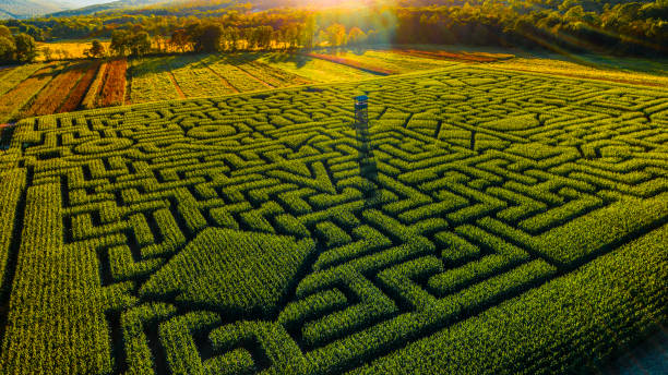 istock The huge Halloween's Corn Maze in Pennsylvania, Poconos Region 858091274