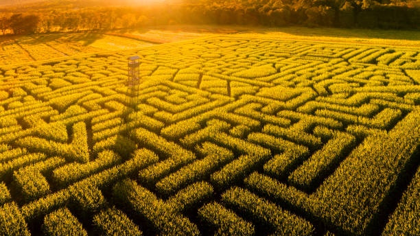 istock The huge Halloween's Corn Maze in Pennsylvania, Poconos Region 858091284