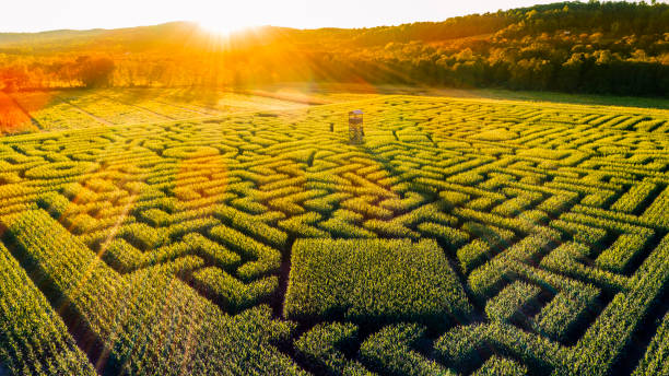 The huge Halloween's Corn Maze in Pennsylvania, Poconos Region The aerial view to the huge Halloween's Corn Maze in Pennsylvania, Poconos Region, at sunset the poconos stock pictures, royalty-free photos & images