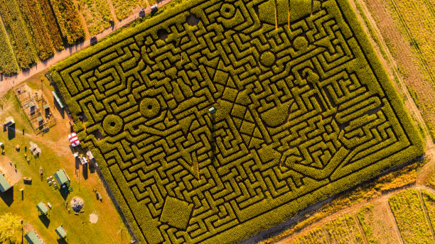 istock The huge Halloween's Corn Maze in Pennsylvania, Poconos Region 858091322