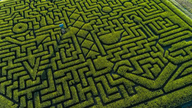 The aerial view to the huge Halloween's Corn Maze in Pennsylvania, Poconos Region, at sunset