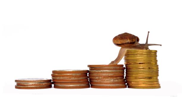 istock Snail climbing  the pile of coins 858092180