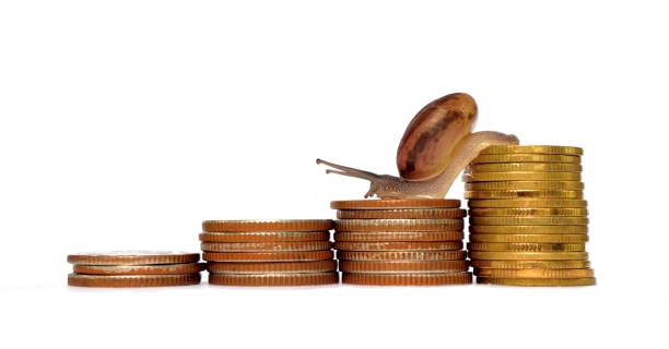 istock Snail climbing  the pile of coins 858092192