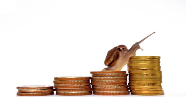 istock Snail climbing  the pile of coins 858092200