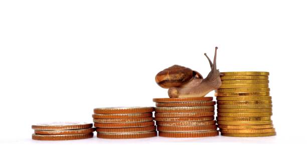 istock Snail climbing  the pile of coins 858092230