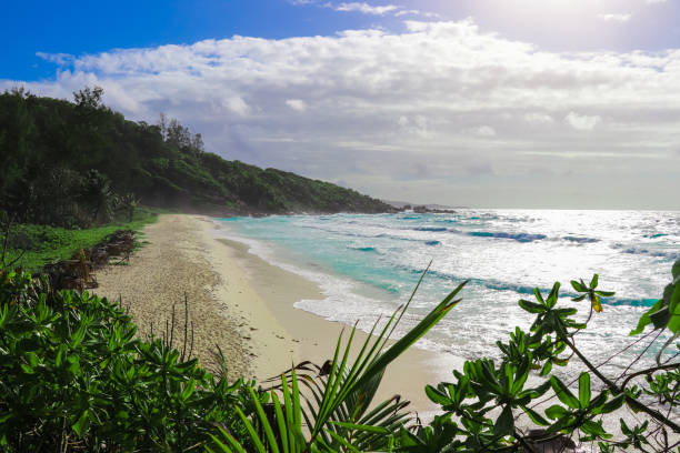 istock Petite Anse beach in Seychelles. The Dike Island 858099978