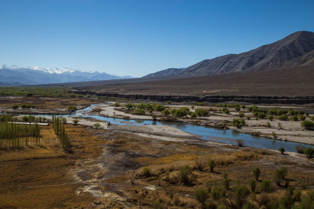 istock View of Ladakh scene forest with mountain background 858100016