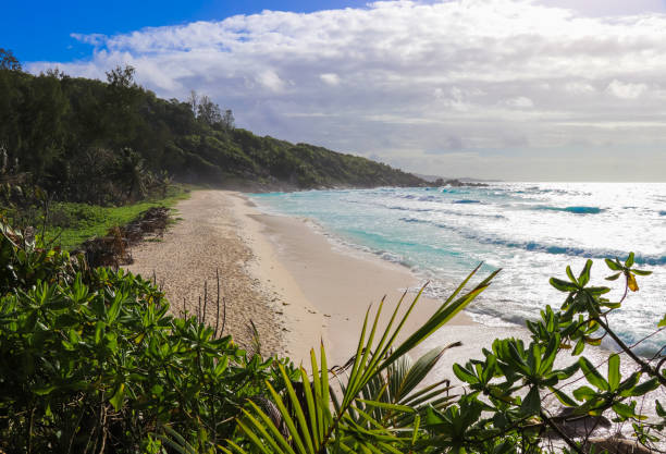 istock Petite Anse beach in Seychelles. The Dike Island 858102278