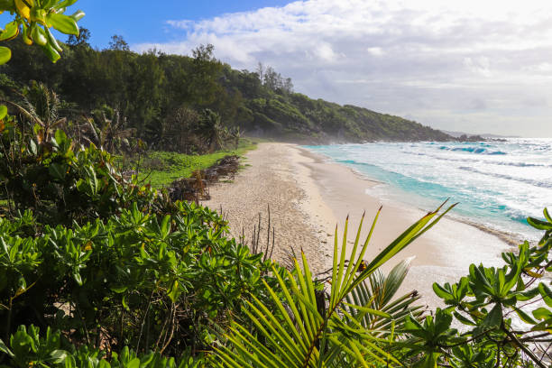 istock Petite Anse beach in Seychelles. The Dike Island 858102486