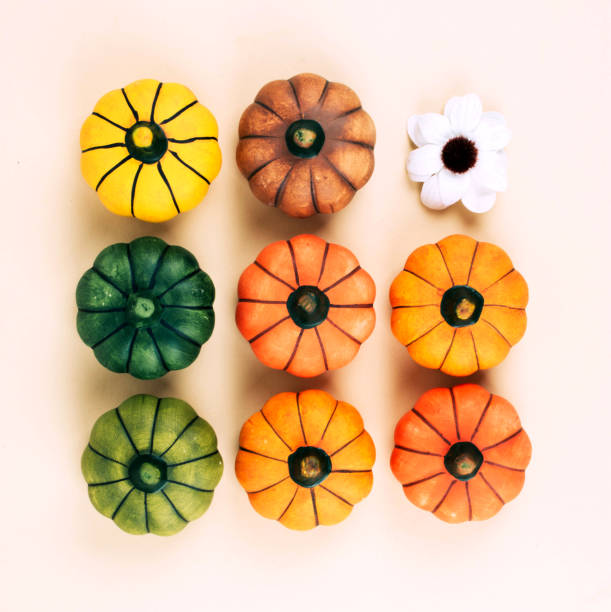 Decorative pumpkins on beige background.