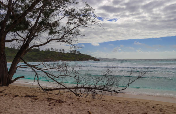 istock Anse Cocos beach at La Digue island. Indian ocean. Seychelles 858103494