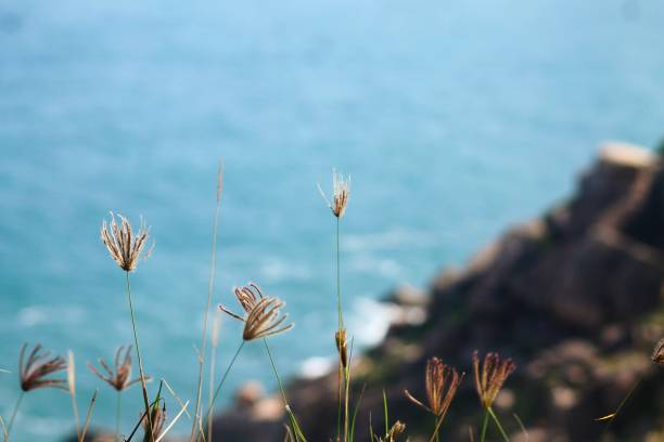 istock Overl ooking the blue sea 858110100