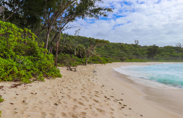 istock Anse Cocos beach at La Digue island. Indian ocean. Seychelles 858110184