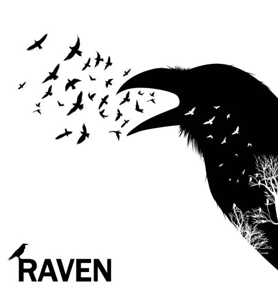 Vector illustration of Croaking crow or raven. Vector Illustration.