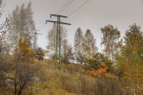 istock Autumn Landscape with yellow trees, Vitosha Mountain, Bulgaria 858112130