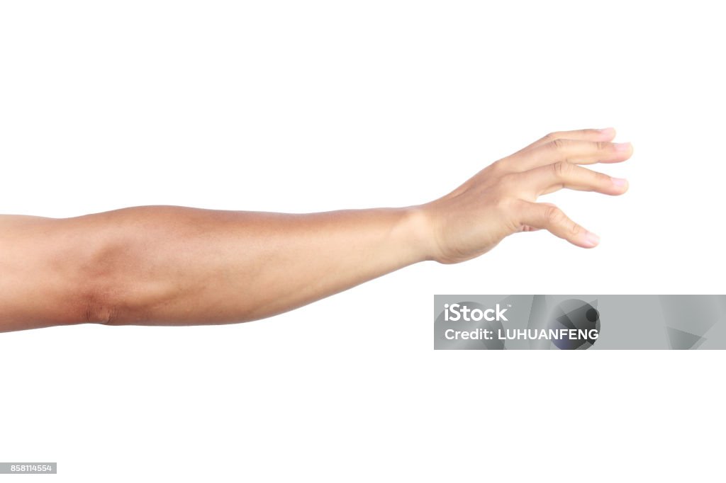 Male hand holding something Hand Stock Photo