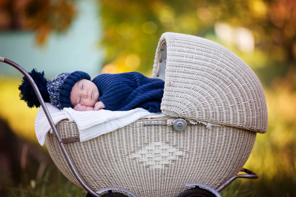 istock Little newborn baby boy, sleeping in old retro stroller in forest 858115394