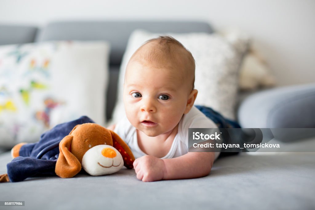 Adorable little baby boy, playing with toy, looking curiously at camera Baby - Human Age Stock Photo