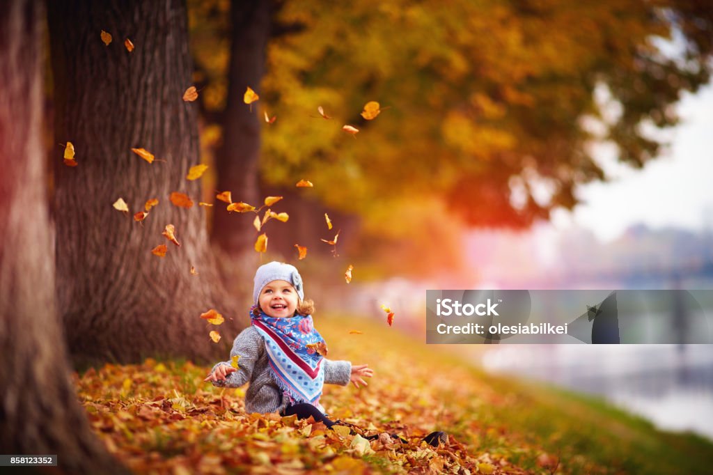 adorable happy baby girl throwing the fallen leaves up, playing in the autumn park Autumn Stock Photo