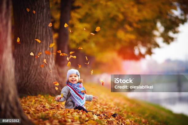 Adorable Happy Baby Girl Throwing The Fallen Leaves Up Playing In The Autumn Park Stock Photo - Download Image Now