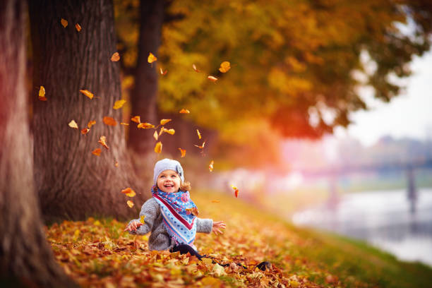 adorable happy baby girl throwing the fallen leaves up, playing in the autumn park - baby girls fotos imagens e fotografias de stock