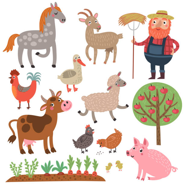농부 그리고 동물입니다. 문자 집합 - baby chicken illustrations stock illustrations