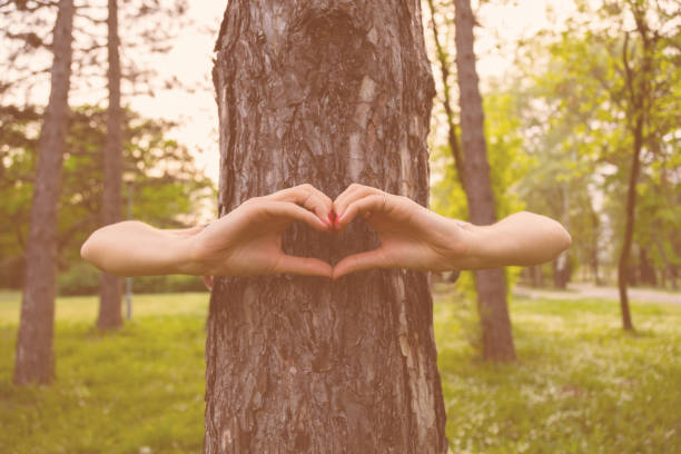 istock Heart - shape for the nature and environment. 858130584