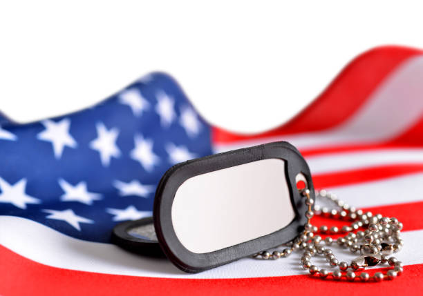 istock American flag and soldiers badges. 858130788