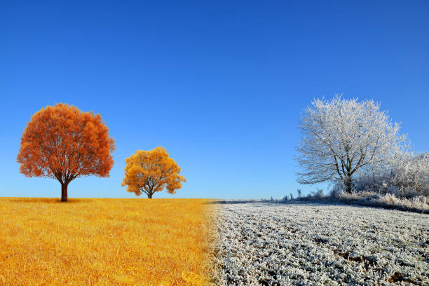 istock Autumn and winter landscape with blue sky. 858131338