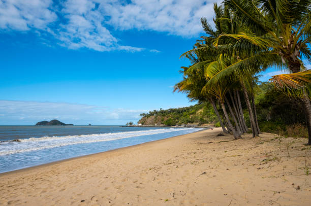 istock Sunshine On Palm Cove, Queensland, Australia 858135408