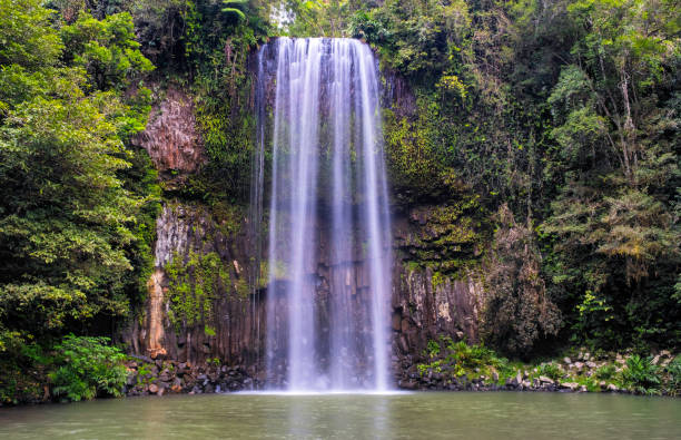 istock Millaa Millaa Falls, Queensland, Australia 858135548