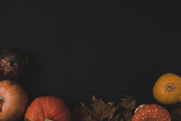 istock pumpkins and dried leaves 858143800